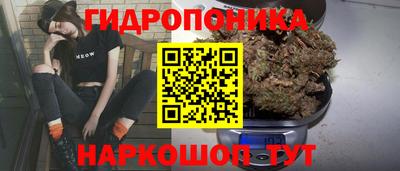 дживик Дубна